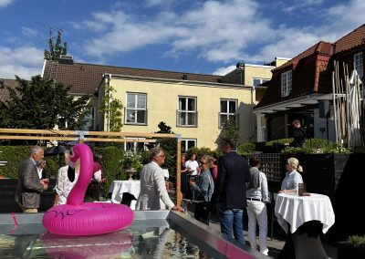 rosa flamenco i poolen