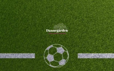 ⚽ VM på Dannegården 