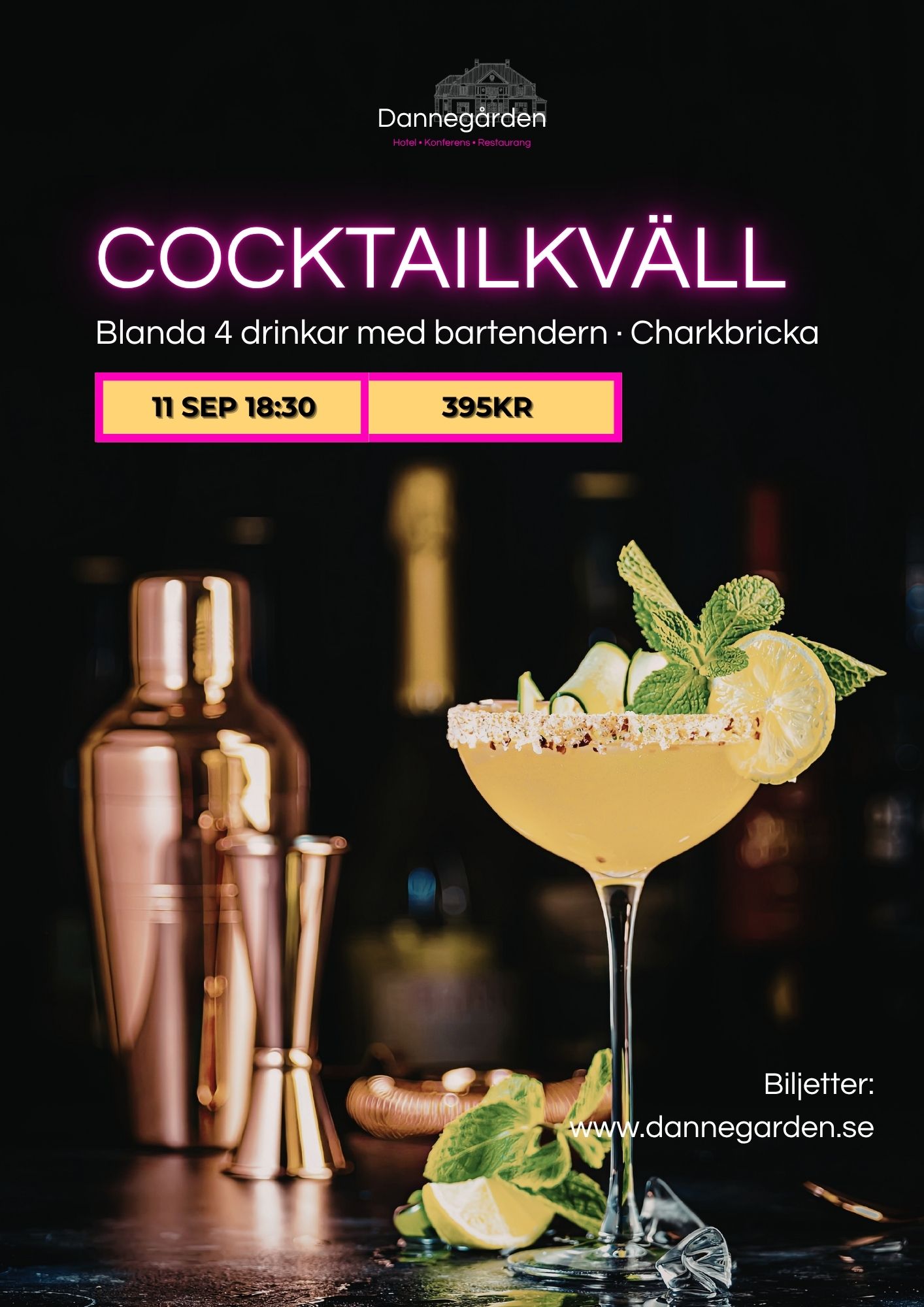 Cocktailkväll (3)